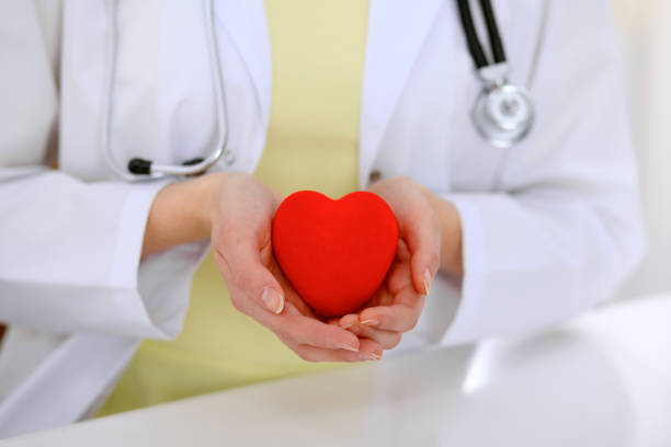 istock Female doctor with stethoscope holding heart. 685684984