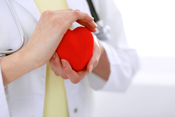 istock Female doctor with stethoscope holding heart. 685685058
