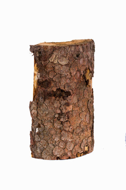 istock Just a piece of wood isolated on a white background 685686022