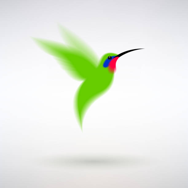 зеленая колибри - vibrant color birds wild animals animals and pets stock illustrations