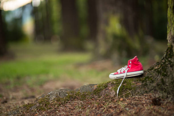 istock Child's red shoe by tree in forest 685723280
