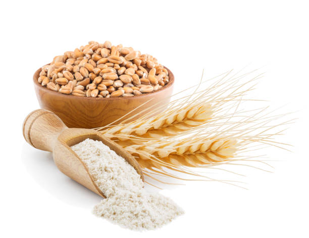 istock Whole grain wheat flour isolated on white 685731194