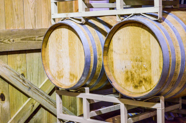istock Two large wooden wine barrels laying in underground cellar 685733310