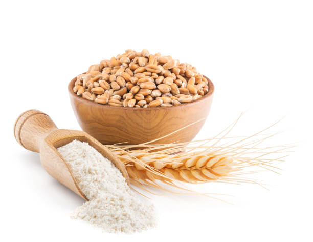 istock Whole grain wheat flour isolated on white 685735416