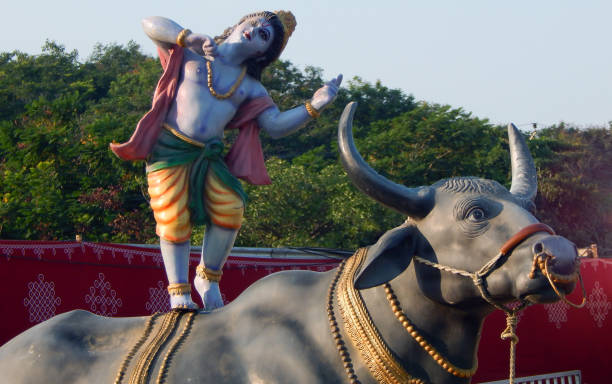 istock Hindu God Sri Krishna on Buffalo idol during karthika deepam ustav lighting 1 crore lights, Hyderabad,India 685757556