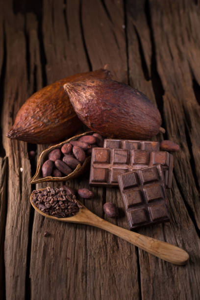 istock Chocolate bar and dried cocoa pod on wooden background 685758096