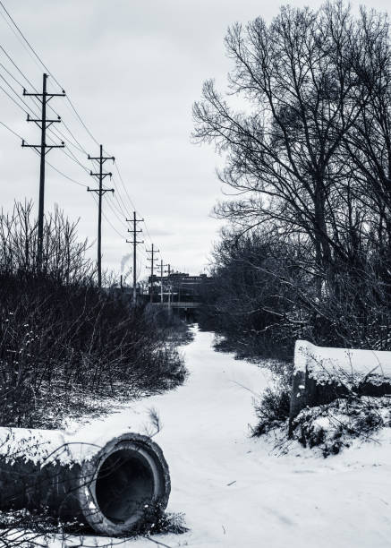 Nobyl Roots Wintertime in Flint, Mi. Deep into the water crisis you can see the long abandoned pipes meant for construction. The path leads to hurley medical center in the background. The intended feel is sorrow. FLINT MICHIGAN STILL DOESNT HAVE CLEAN WATER. flint michigan stock pictures, royalty-free photos & images