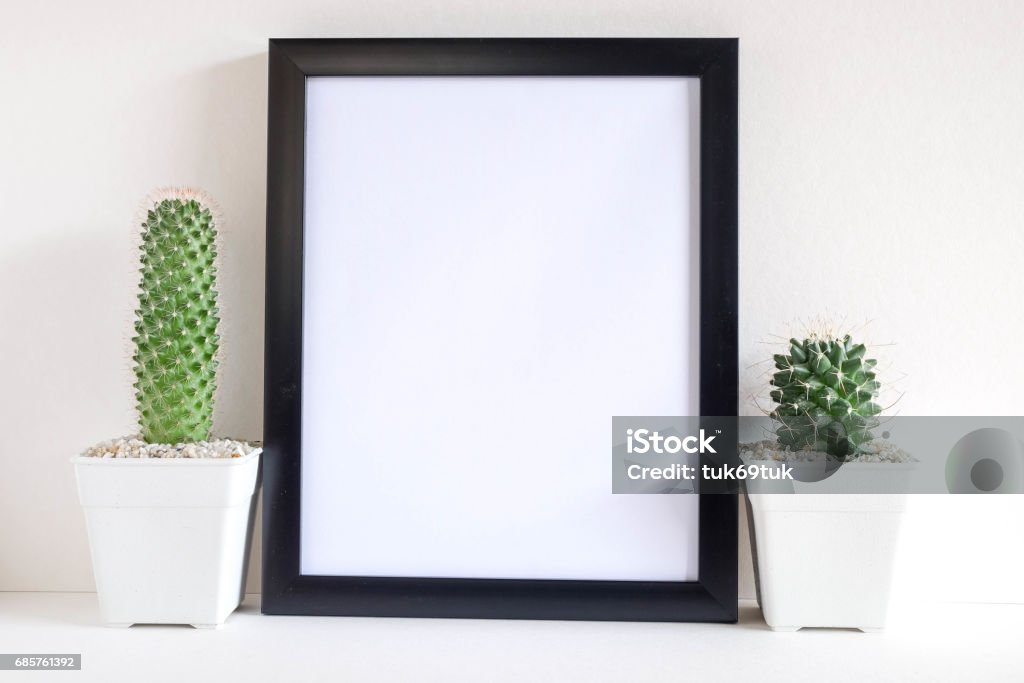 vetplanten of cactus in betonnen potten over witte achtergrond op de plank en mock up frame foto - Royalty-free Bloem - Plant Stockfoto