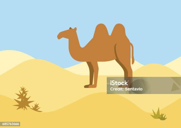  Camello Desierto Hábitat Fondo Diseño Plano Dibujos Animados Vector Animales Salvajes Plano Zoológico Naturaleza Niños Colección Stock Ilustración