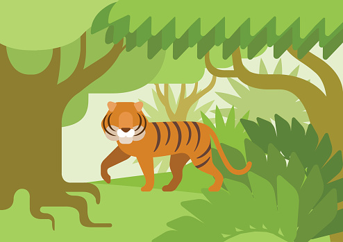 Ilustración de Tigre En El Hábitat De La Selva Diseño Plano Dibujos Animados Animales Salvajes Colección De Niños De La Naturaleza Flat Zoo y más Vectores Libres de Derechos de Animal -