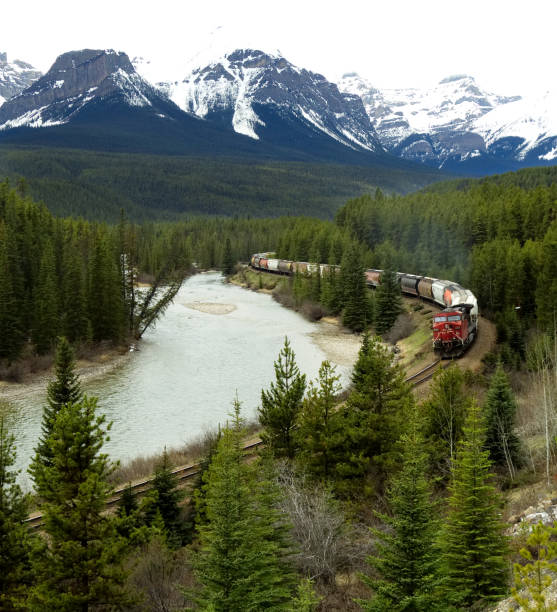 istock Canadian Pacific Train Traveling through the Rocky Mountains 685764710
