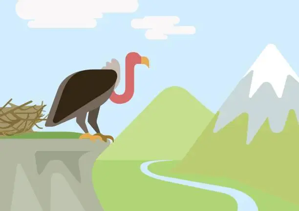 Vector illustration of Griffin vulture predator on rock nest mountains flat design cartoon vector wild animals birds. Flat zoo nature children collection.