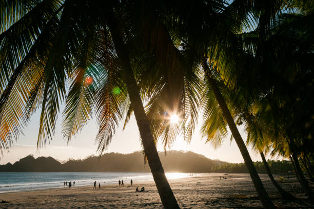 coucher de soleil plage costa rica punta islita guanacaste - central america flash photos et images de collection