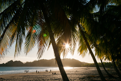 Moody sunset at beautiful natural beach Playa Islita surrounded with Palm Trees. Warm sun shining through the palm tree leaves. Moody natural lens flares. Unrecognizable backlit people silhouettes on the beach. Punta Islita, Guanacaste, Costa Rica, Central America.
