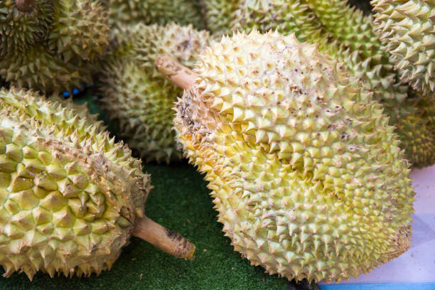 istock Durian fruit at market 685770216