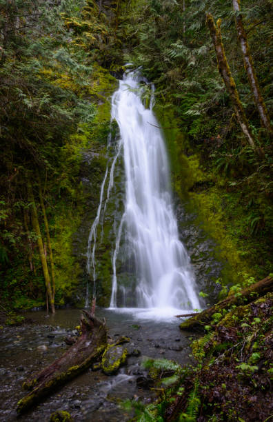 istock Madison Falls and River at Olympic National Park 685770286