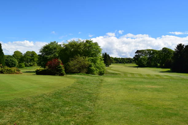 istock View of a fairway 685771772