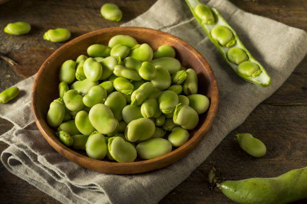 istock Raw Organic Fresh Green Fava Beans 685771876