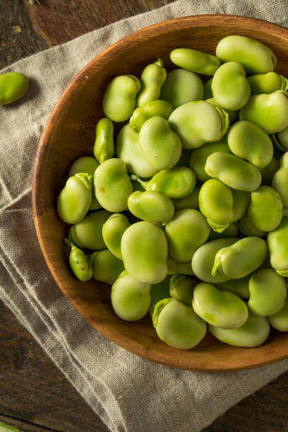 istock Raw Organic Fresh Green Fava Beans 685771938