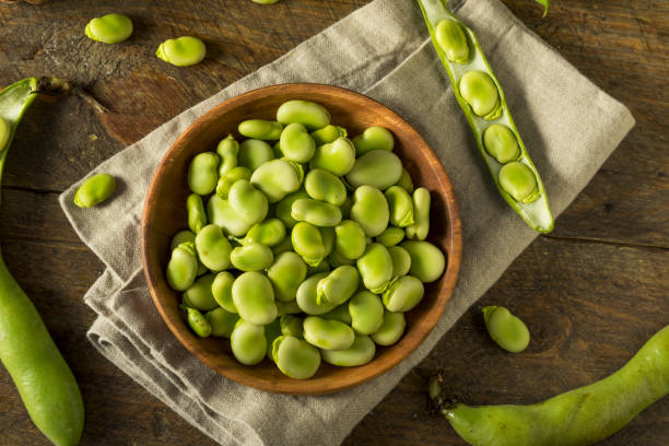 Raw Organic Fresh Green Fava Beans Raw Organic Fresh Green Fava Beans REady to Cook With broad bean plant stock pictures, royalty-free photos & images