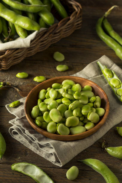 istock Raw Organic Fresh Green Fava Beans 685773014