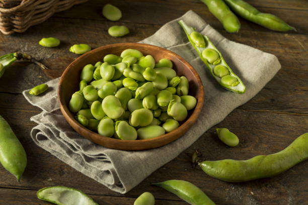 istock Raw Organic Fresh Green Fava Beans 685773216