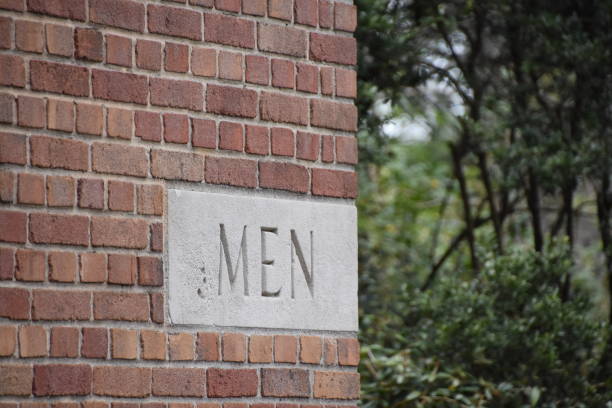 istock Men's toilet Central Park 685773662