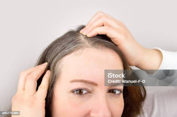 Young Woman Shows Her Gray Hair Stock Photo - Download Image Now - White Hair, Gray Hair, Women