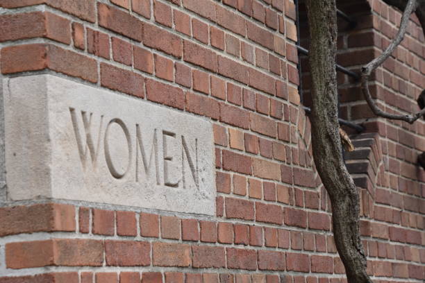 istock Toilet for women in Central Park 685775592