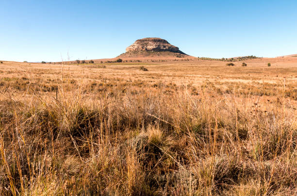 istock Orange Colored Grass Against Rocky Mountain and Blue Sky 685779716