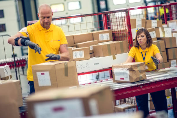 istock Female and male postal workers inspecting packages 685780366