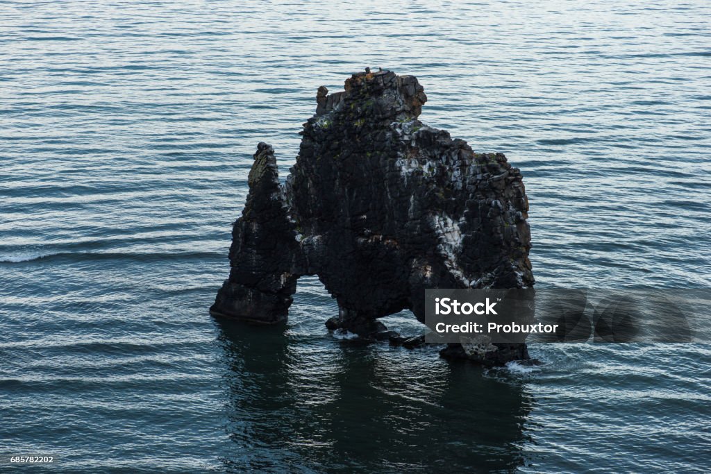Hvitserkur กองหินบะซอลต์ที่ชายฝั่งตะวันออกของคาบสมุ��ทร Vatnsnes ทางตะวันตกเฉียงเหนือของไอซ์แลนด์กองน� - ไม่มีค่าลิขสิทธิ์ Hvítserkur ภาพสต็อก