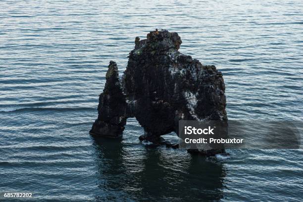 Hvitserkur กองหินบะซอลต์ที่ชายฝั่งตะวันออกของคาบสมุทร Vatnsnes ทางตะวันตกเฉียงเหนือของไอซ์แลนด์กองน ภาพสต็อก - ดาวน์โหลดรูปภาพตอนนี้
