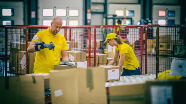 istock Female and male postal workers inspecting packages 685784068