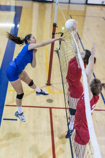 istock Girls high school volleyball team 685789396