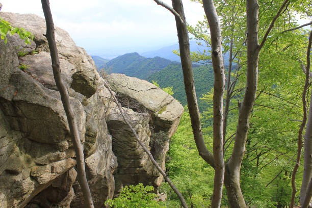 istock landscape of rocks and trees in mountain 685790256