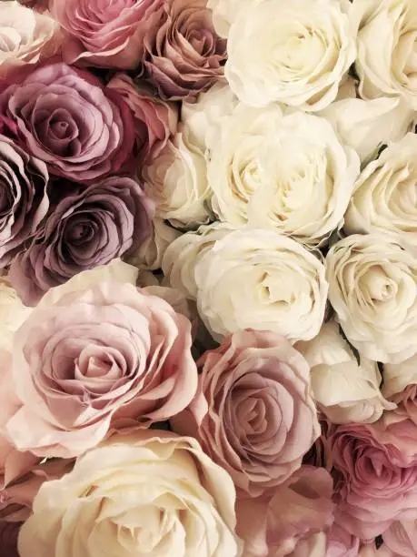 Photo of Beautiful vintage Rose background. white, pink, purple, violet, cream color bouquet flower. Elegant style floral.