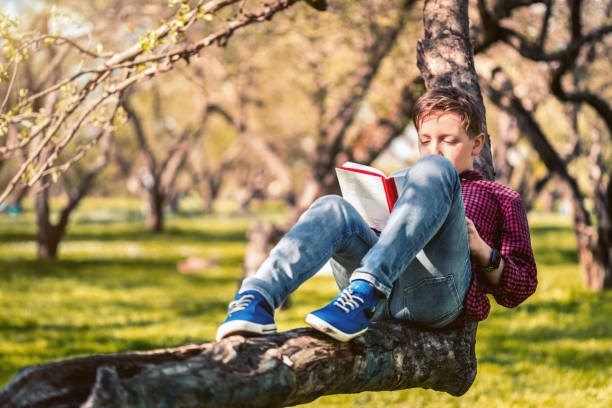 istock Cute boy reading a book sitting in the park at sunset 685796924