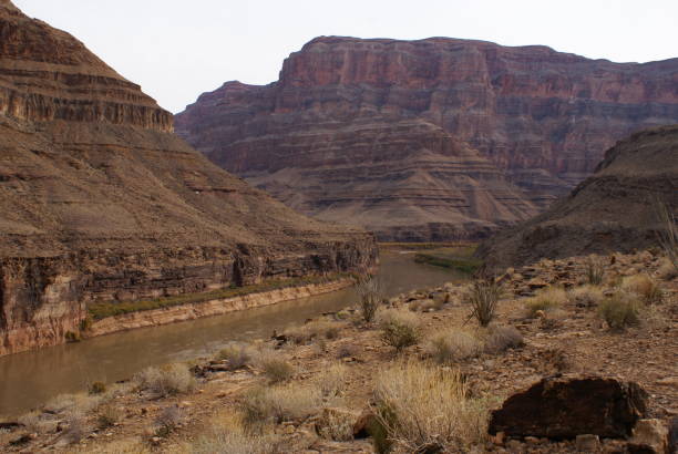 istock Grand Canyon - West Rim 685796998