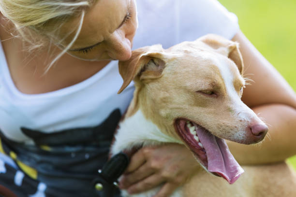 istock woman holds a dog in her arm 685798580