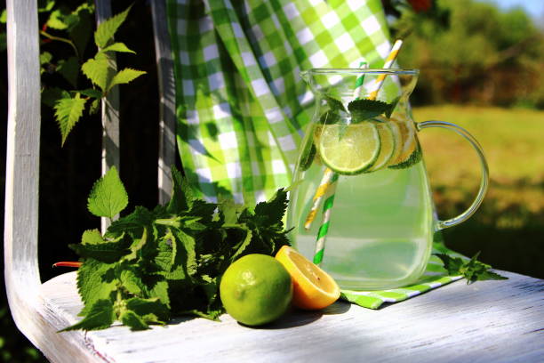 lime and lemon lemonade - retro revival lemonade stand old fashioned lemonade imagens e fotografias de stock