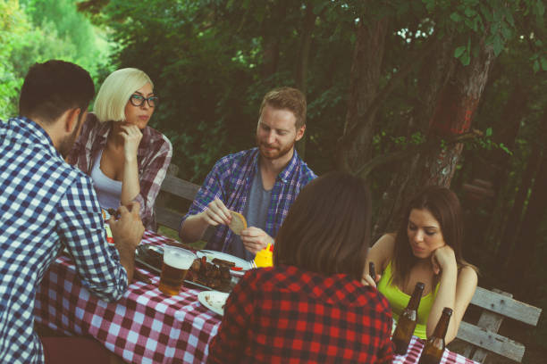 istock Friends have lunch at nature 685806514