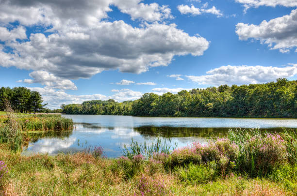 istock Afternoon at Opossum Lake 685808092