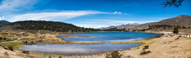 Panoramic landscape of Mucubaji lagoon with Frailejons, Merida state, Venezuela Panoramic landscape of Mucubaji lagoon with Frailejons, Merida state, Venezuela. Mucubaji lagoon ios located at 3650 mts above sea level and it is a very turistica place in the Paramo Andino. Frailejon is an endemic plant that grows above 2800 over sea level and is found all over Cordillera de Los Andes in South America. landscape of the mountains in merida venezuela stock pictures, royalty-free photos & images