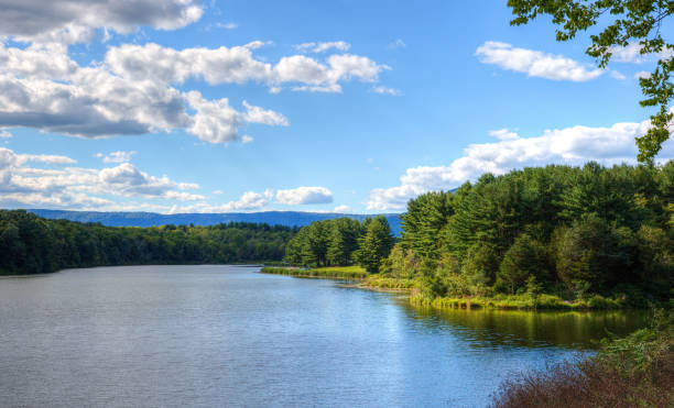 Afternoon at Opossum Lake A bright summer day at Opossum Lake in Pennsylvania. reservoir photos stock pictures, royalty-free photos & images