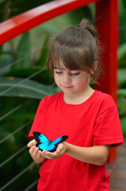 istock Little girl holds a Ulysses Swallowtail 685809648
