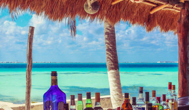Beachside Bar in Paradise Stunning seascape and a bar with some colorful bottles beach bar stock pictures, royalty-free photos & images