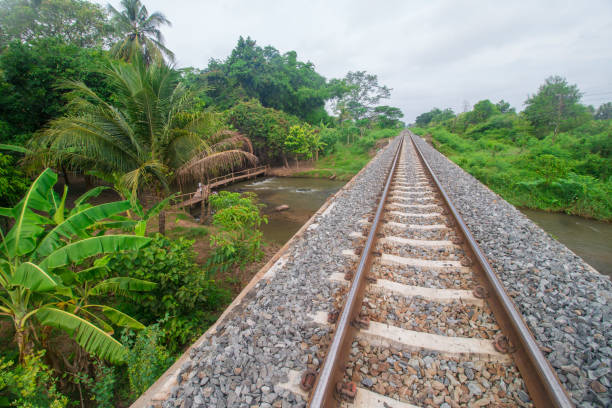 철도 교량 강을 건너기 위한 - burma railway 뉴스 사진 이미지