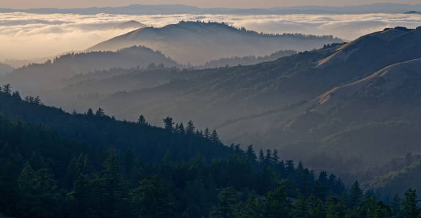 istock Bolinas Ridge, Calfiornia 685826426
