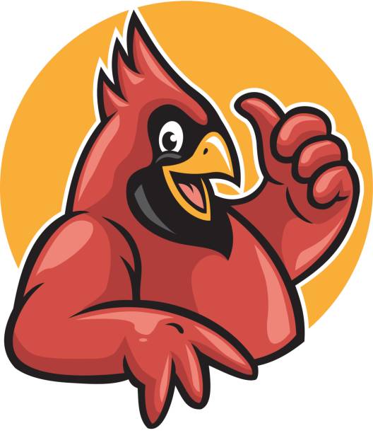 thumb up cardinal vector of thumb up cardinal bird cardinal mascot stock illustrations